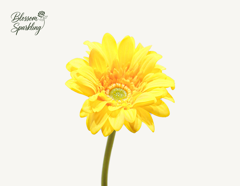 Real Touch Gerbera